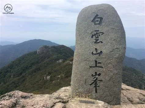  백운산 정상에서 펼쳐지는 신비로운 풍경과 고요한 자연의 조화!