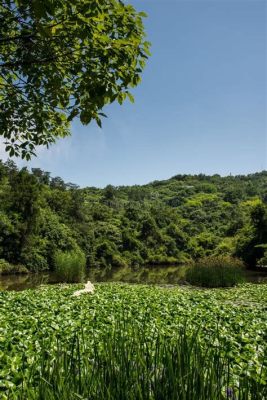  Tianmu Lake 푸른 아름다움을 자랑하는 신비로운 호수!